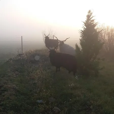 Nicolaj Vendeghaz Es Tanya Pensjonat Dég