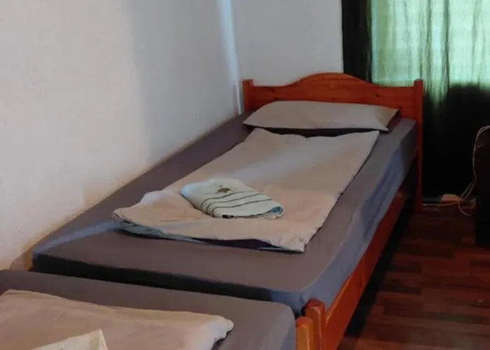 Nicolaj Vendeghaz Es Tanya Dég