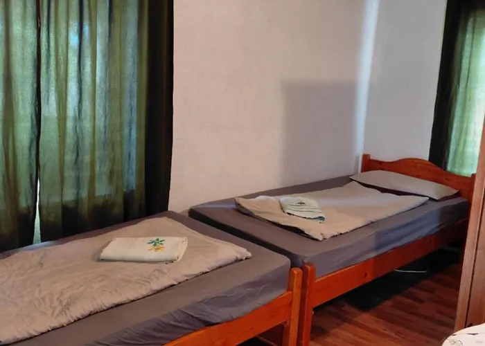 Nicolaj Vendeghaz Es Tanya * Dég