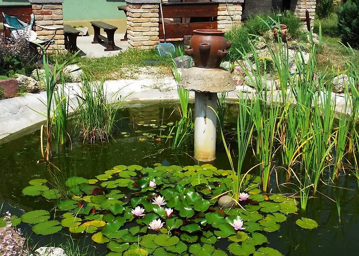 Nicolaj Vendeghaz Es Tanya בית הארחה Dég