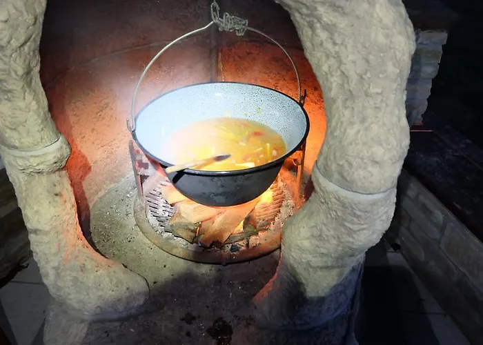 Nicolaj Vendeghaz Es Tanya * Dég